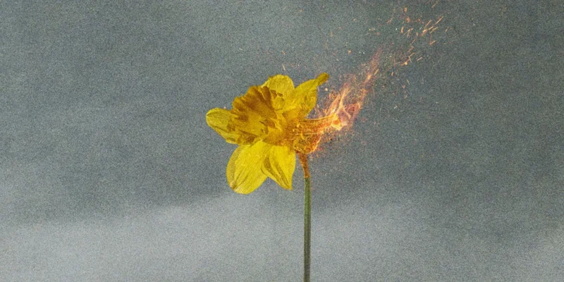 33 Fotos do Gueto: documentário da HBO revela imagens inéditas da Revolta do Gueto de Varsóvia